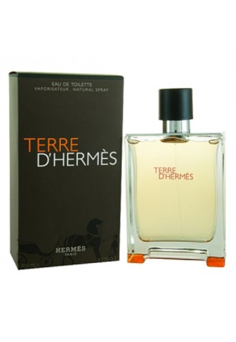 Terre D Hermes For Men
